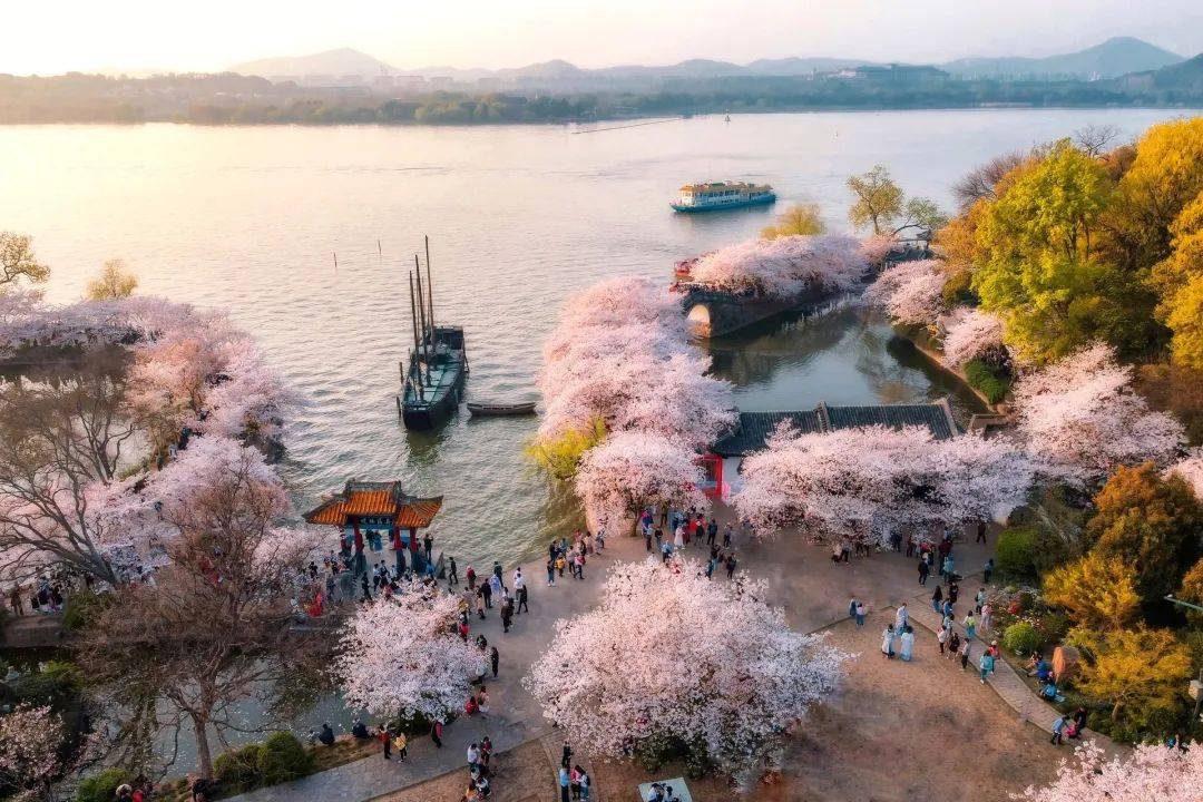 一点都不逊色日本的樱花谷堪称国内醉美的樱花之地世界三大赏樱胜地