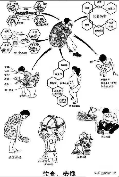 中医的致病主要外源—六淫!