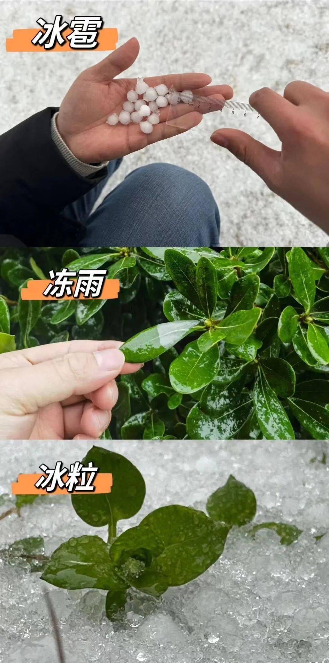 一起读这个字:霰(xiàn)