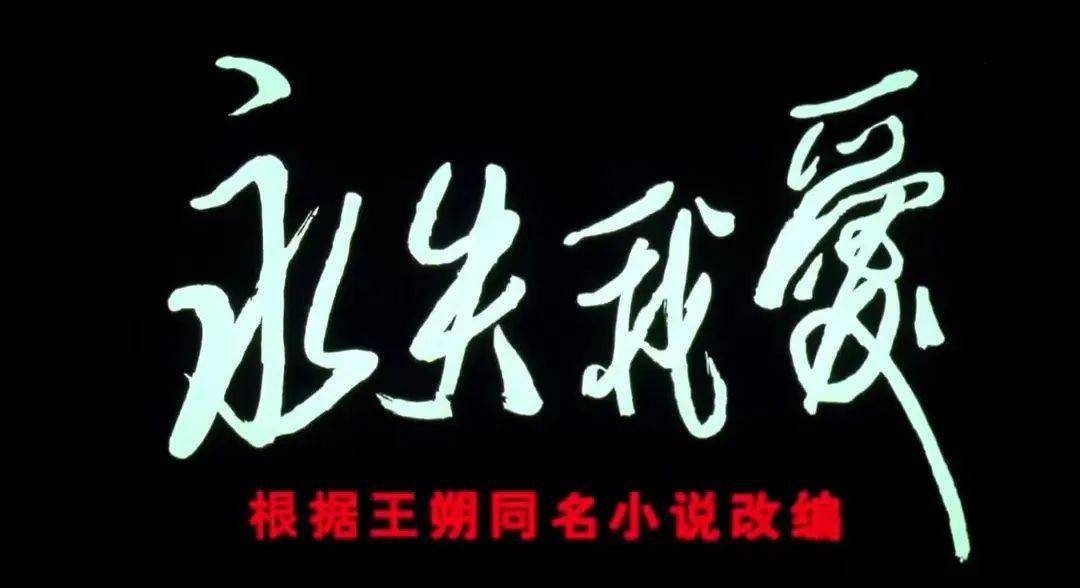 不可抗力,无法言说.公司七八百万投资款,很快挥霍一空.