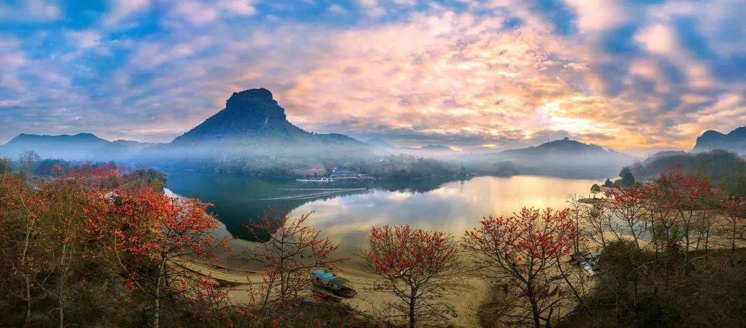 2024"木"名而来——昌江木棉音乐美食节等你来嗨_旅游_活动_海南省