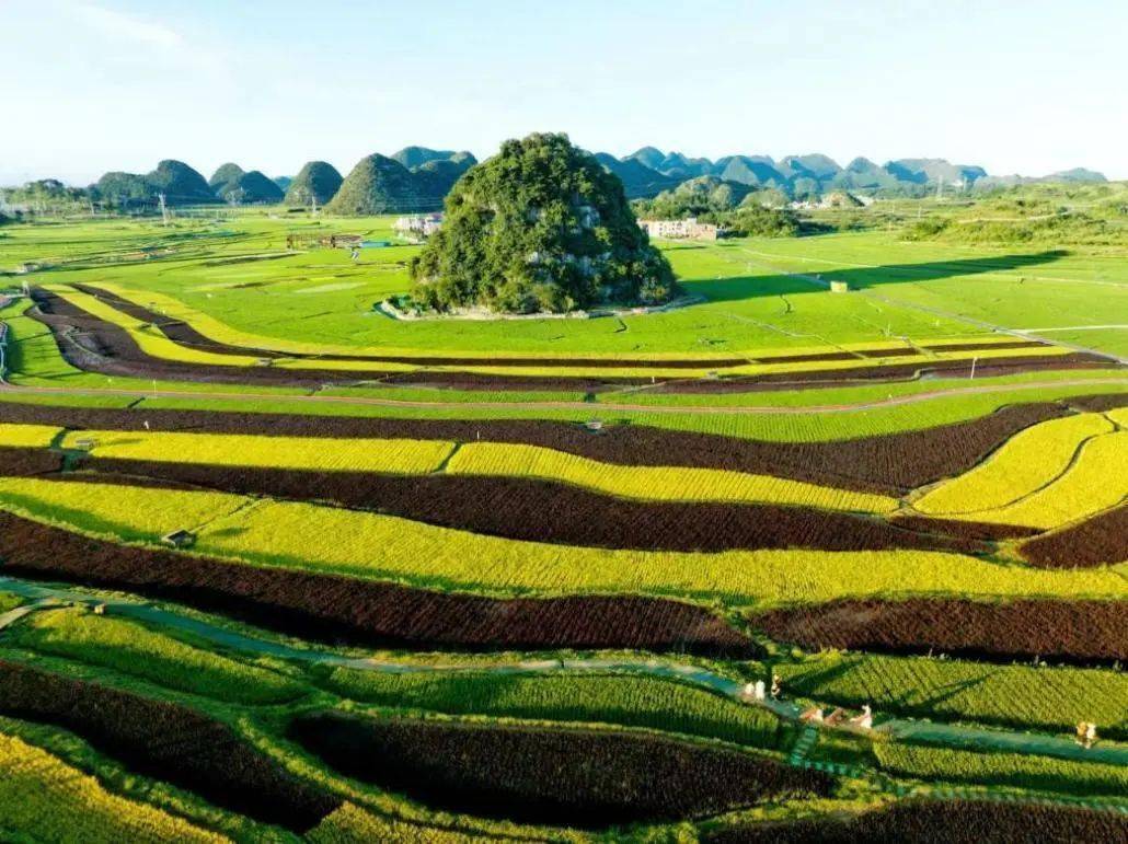 丰稻乡村·以农带旅,以旅兴农——米香之旅丰收队到平坝区昊禹米业