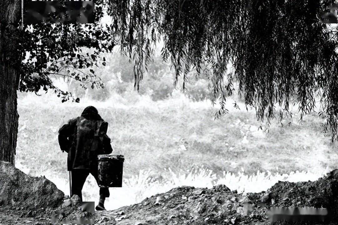 高老歪的年夜饭,是一包耗子药_父母_父亲_儿子