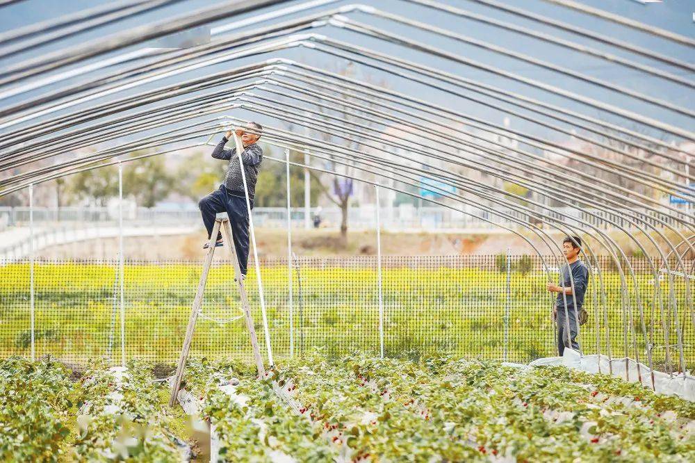 潇湘头条五分钟新闻丨02月22日丨星期四 语音版_湖南_长沙机场_美国