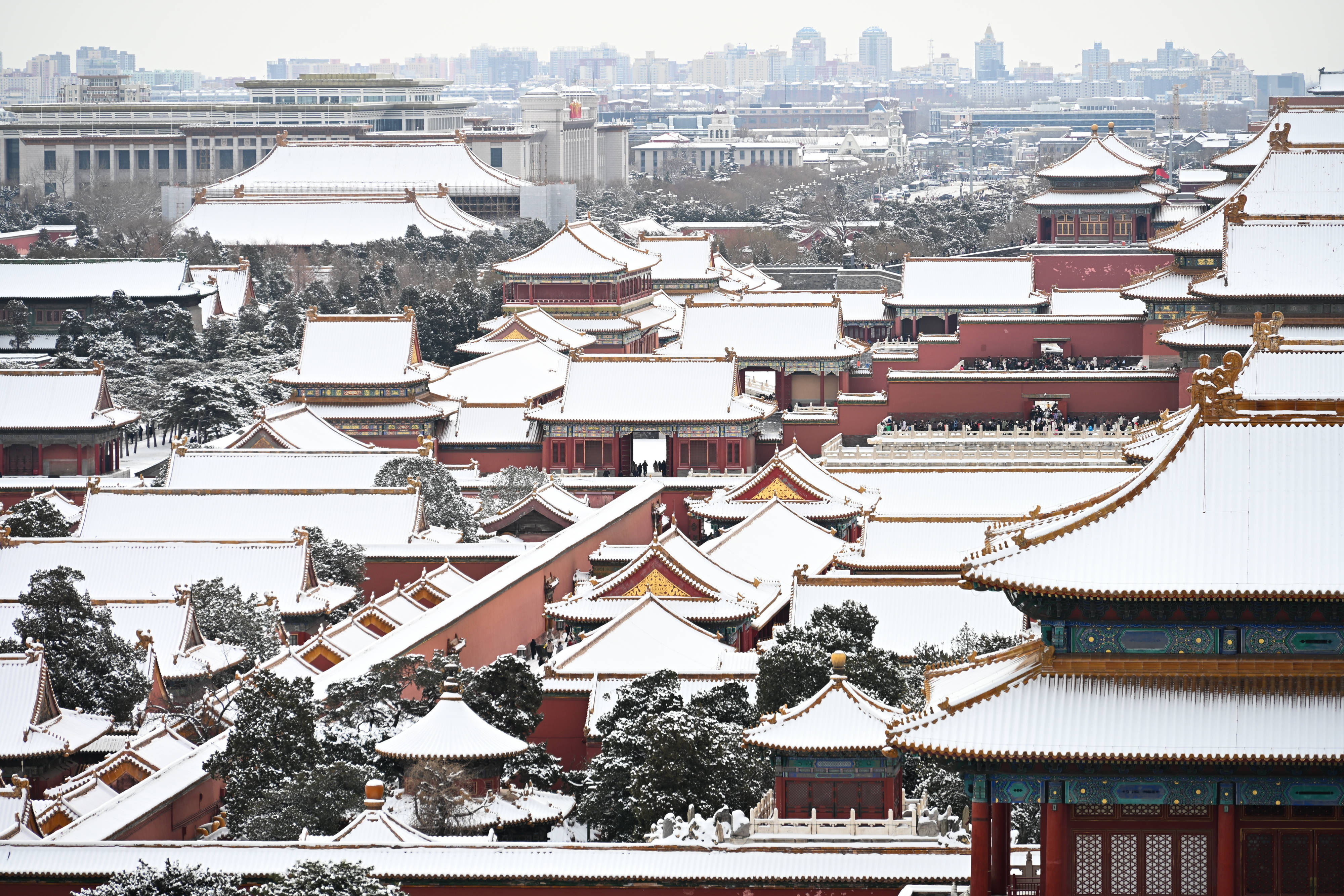 北京下雪的照片图片