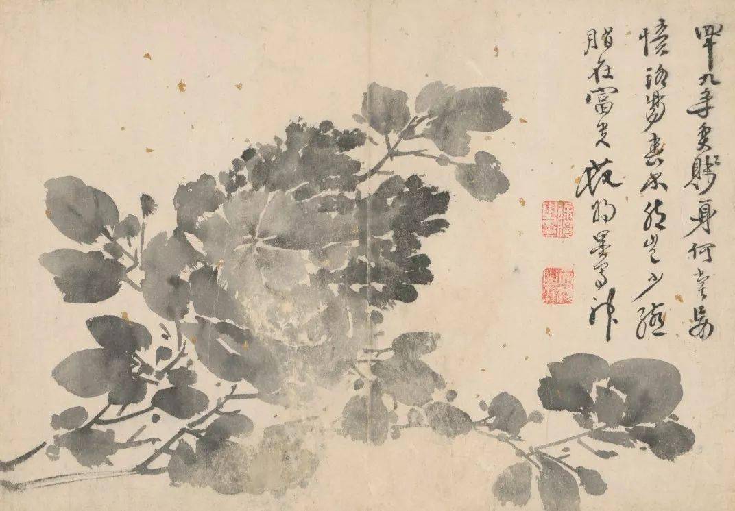 徐渭【人物花卉十三册】_高清_作品_合作