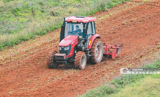 广西春耕种子和农用物资储备均超八成_指导_服务_全区
