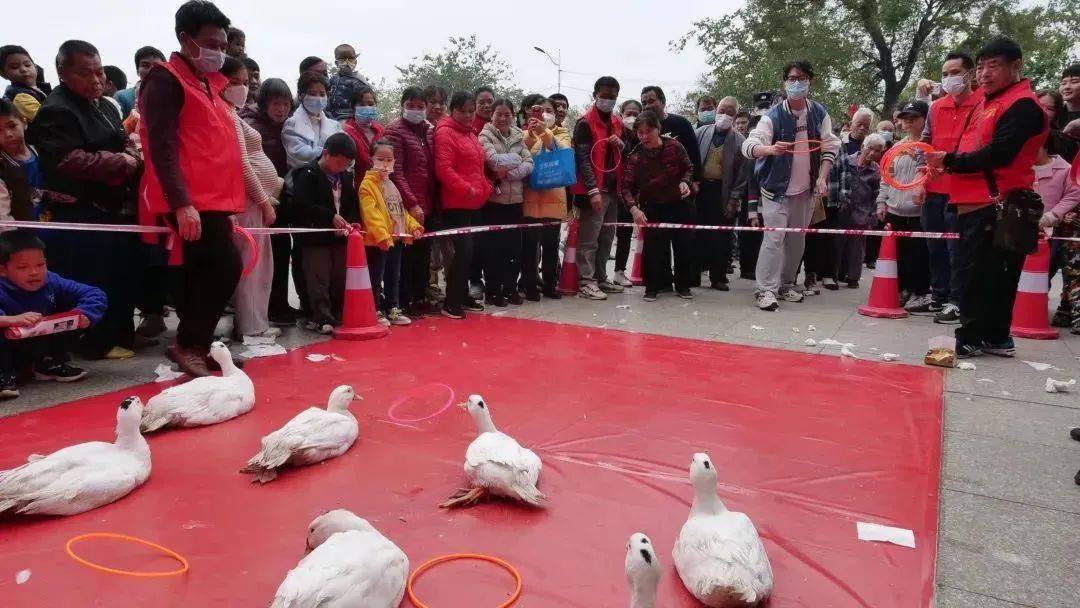 00活动地点:投资大厦正门前空地活动内容:套鸭子,猜谜语,蒙眼打鼓,吹