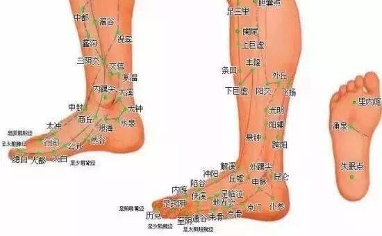足三阴经 来自搜狐网