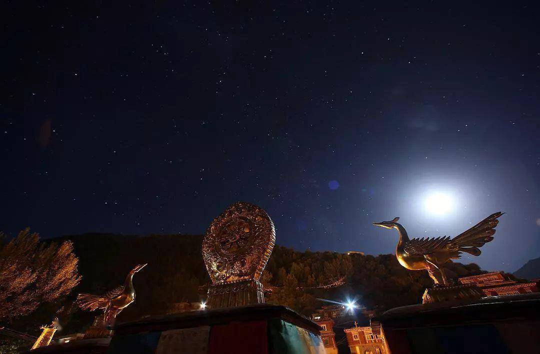 西藏_高原_生活