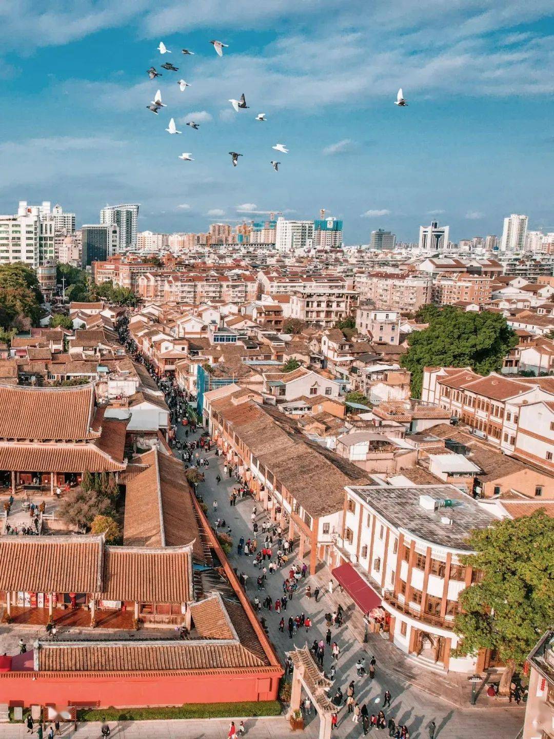 就在漳州古城!新版四果汤,蚵仔煎,明日亮相!_中国_合体_艺术