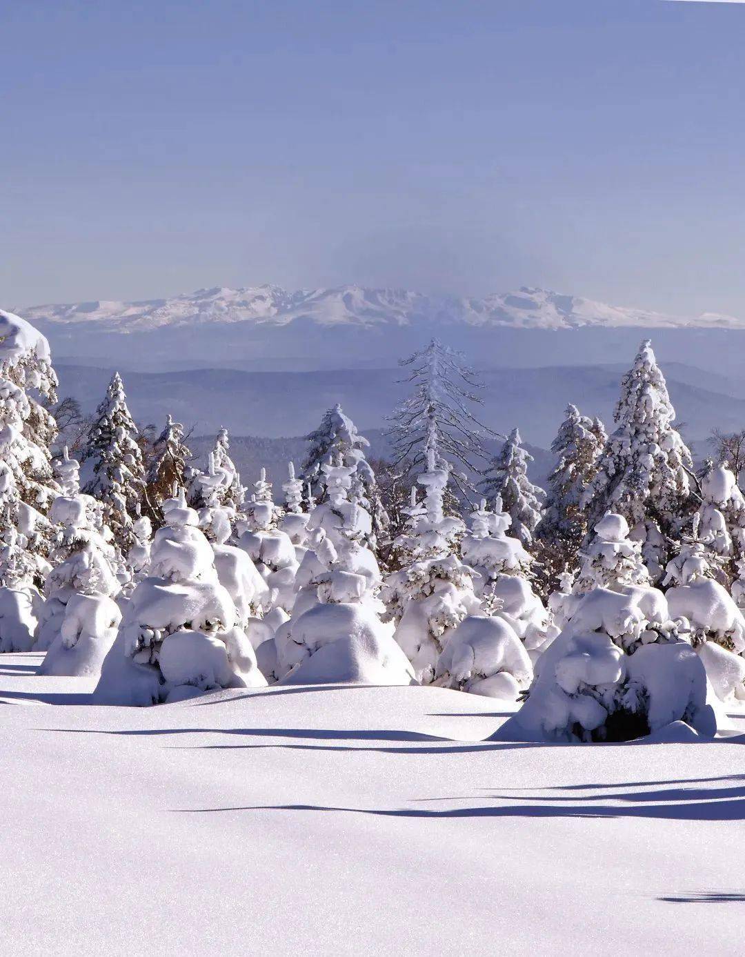 快和雪亲密接触吧~_白山_冰雪_雪村