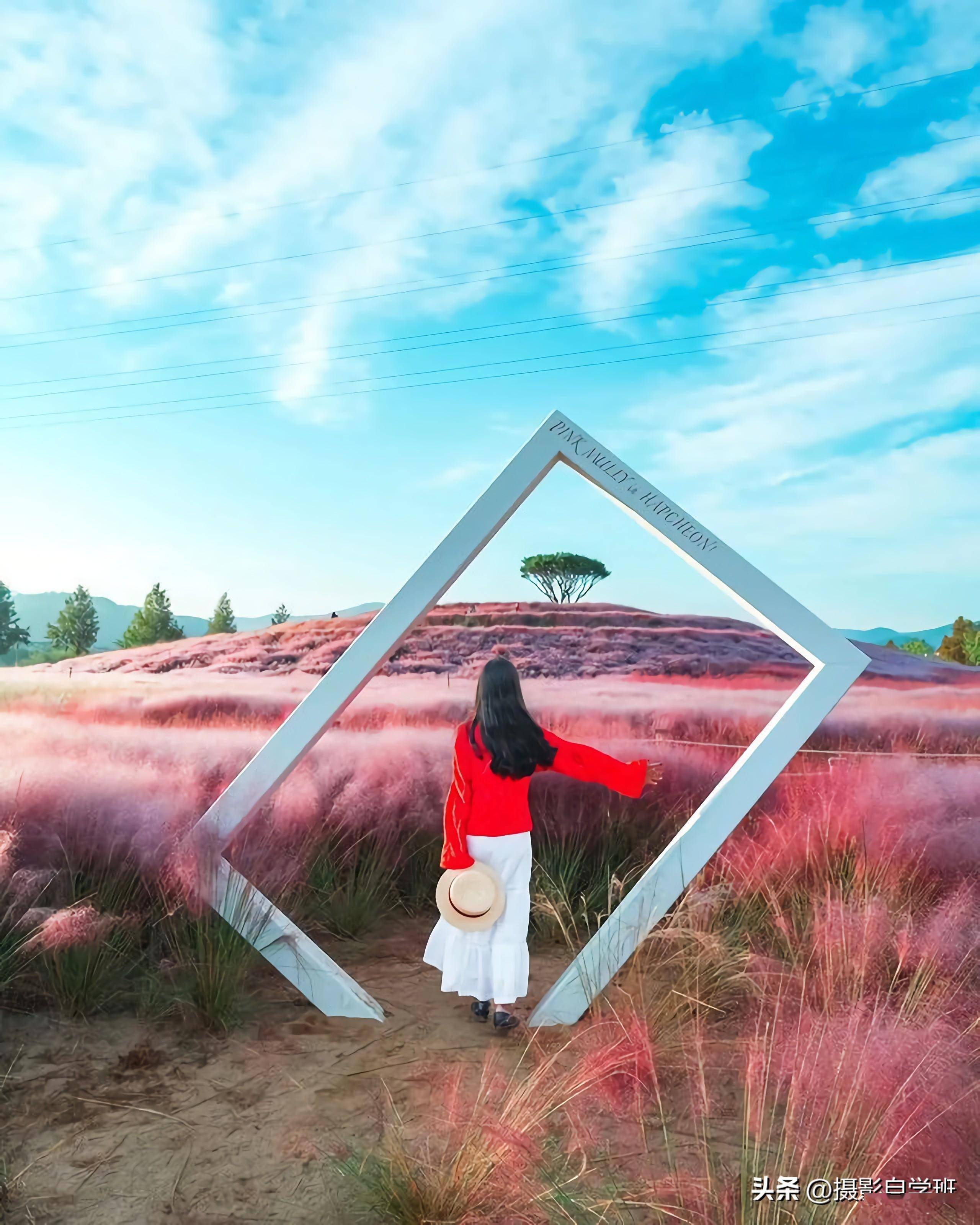 拍春天风景照片, 用这6个手机摄影技巧