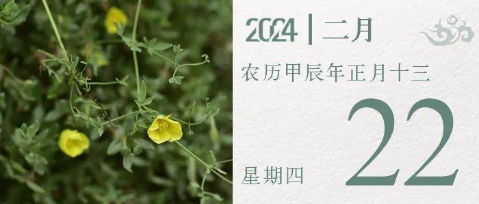 良禽择木而栖_出仕_读书人_服务