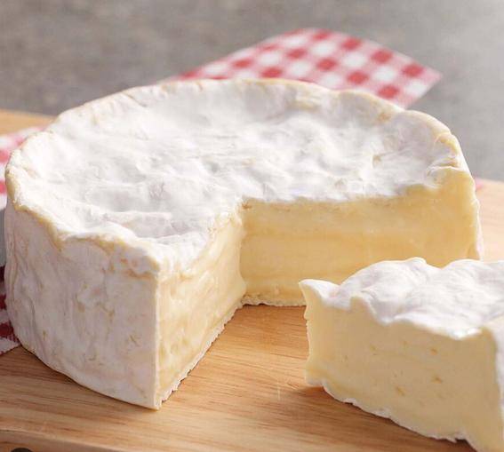 法国camembert软奶酪濒危_威胁_白色_外皮