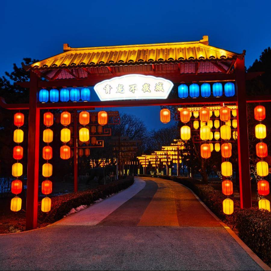 北京这些地方的花灯美爆了!_公园_传统_地址