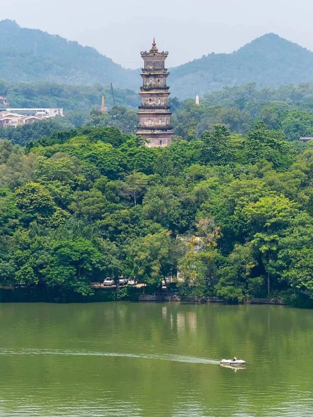 广东惠州,拥有着大海,古街,温泉的宝藏小城_沙滩_海龟_海水
