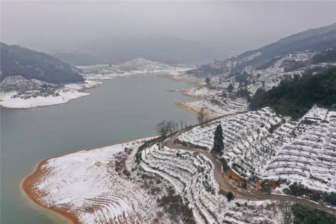 清远连州迎春节后首场雪_梨花_油菜花_广东