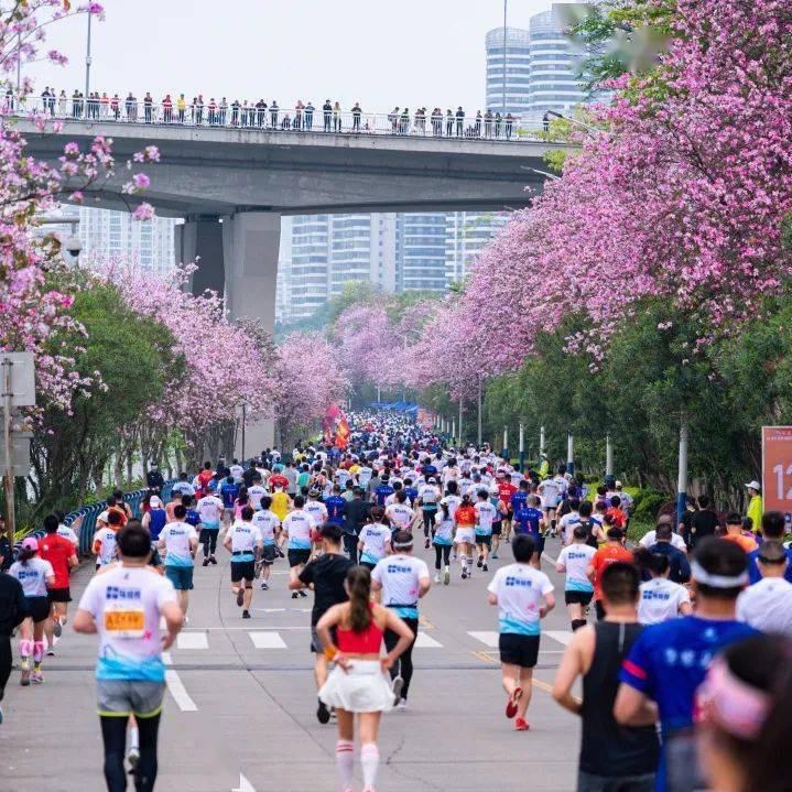 明日下午13:00柳马报名启动!_马拉松_柳州市_团体