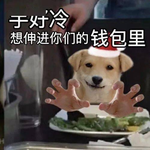 一些很有趣的表情包:气死我了_公众_il_熊猫头