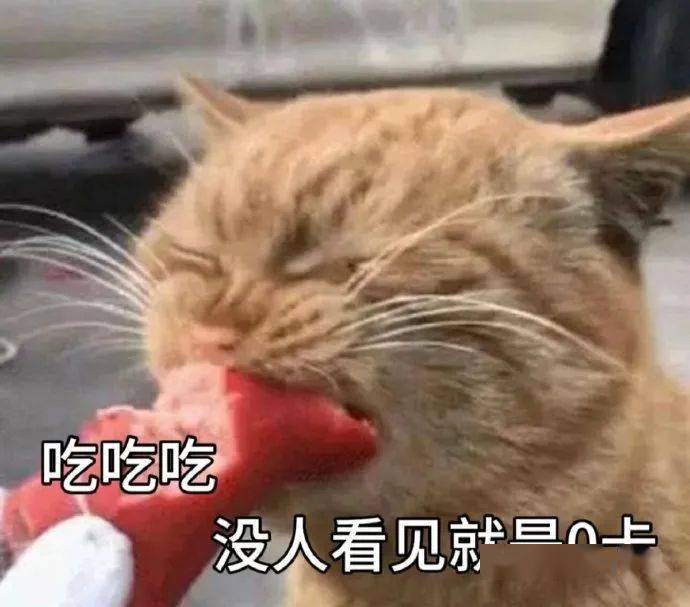 一些很有趣的表情包:气死我了_公众_il_熊猫头