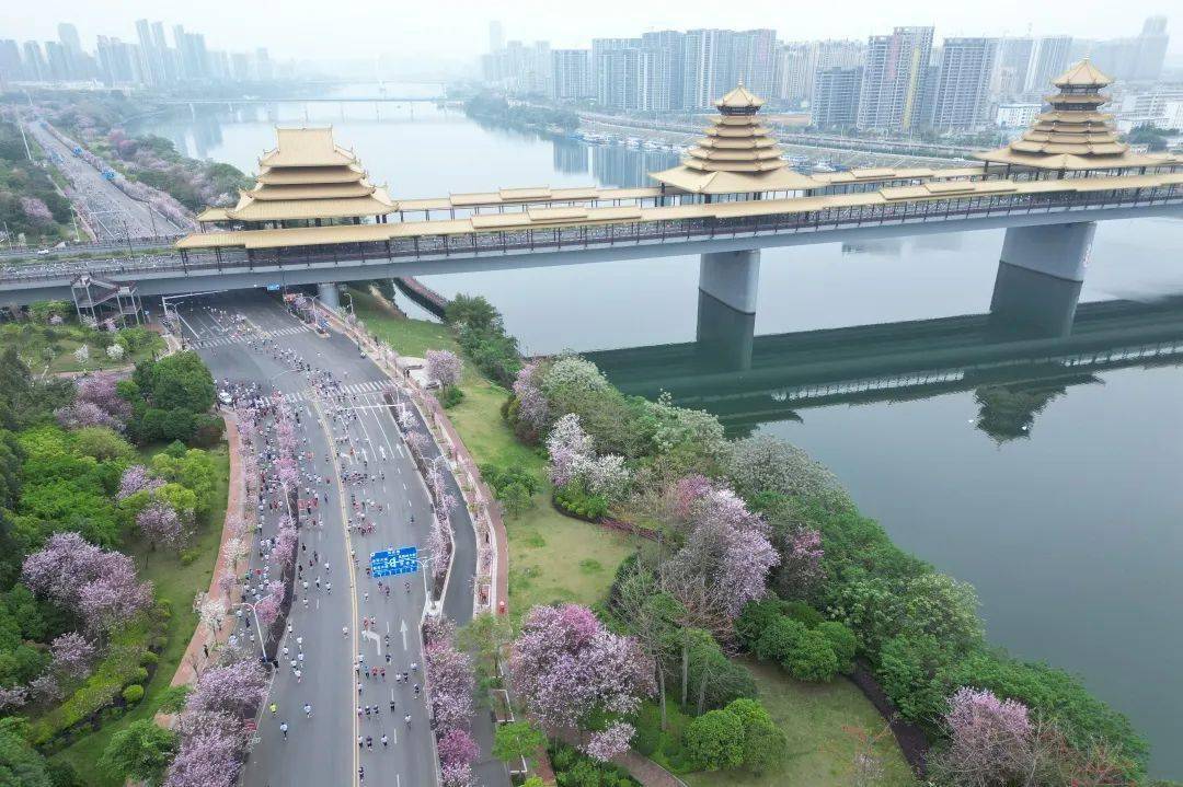 现实是此岸,理想在彼岸穿过戒指桥,跑过凤凰岭来吧,一起奔跑吧!