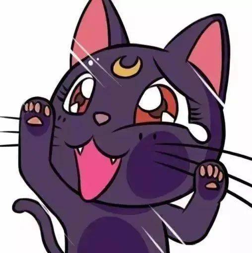 wechat|个性搞怪头像_资讯_碎片_实录