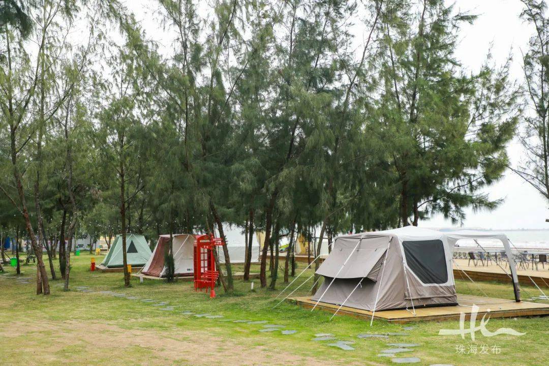 珠海这个400多年历史的古村落,花海环绕,坐拥沙滩海景……_木头_三灶