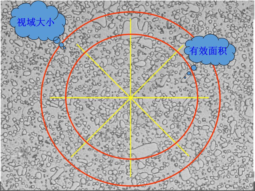 铁碳合金相图解读图片