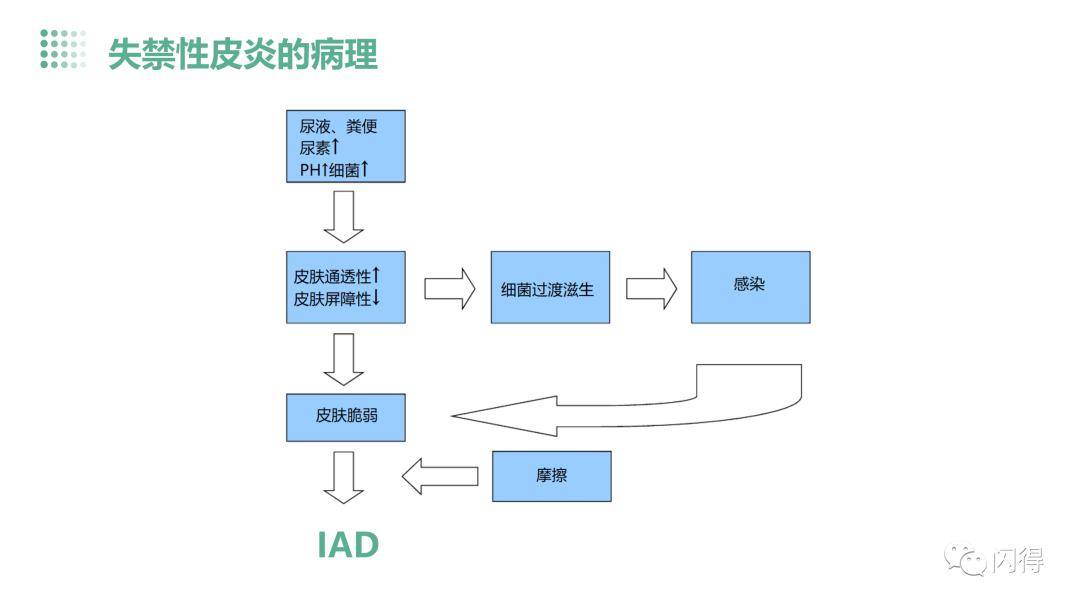 【ppt】失禁性皮炎患者的护理