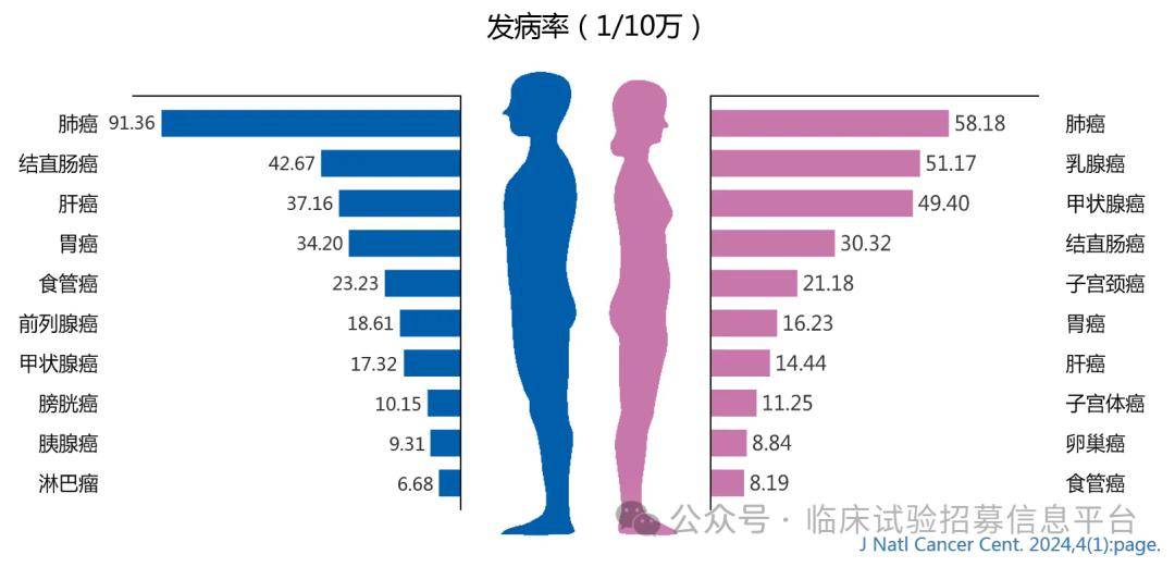 中美最新肿瘤数据比较_美国癌症协会_中国_发病率