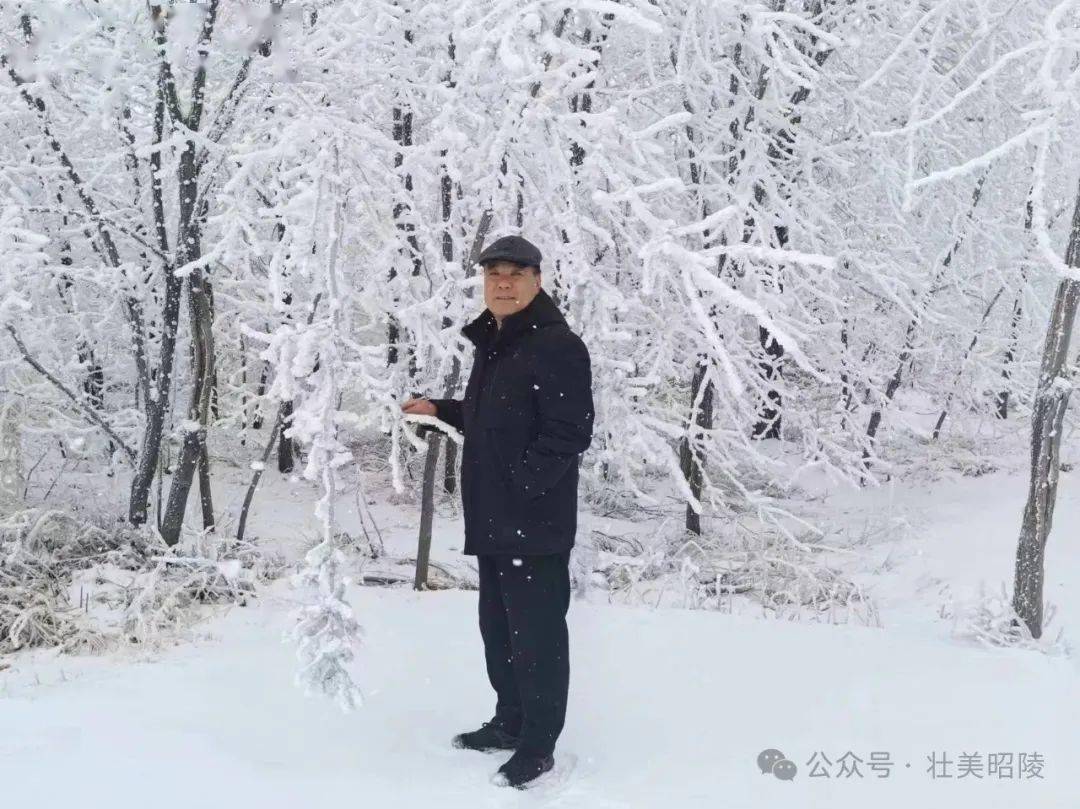 文建东/邀你东庄来看雪_礼泉_雪景_车辆