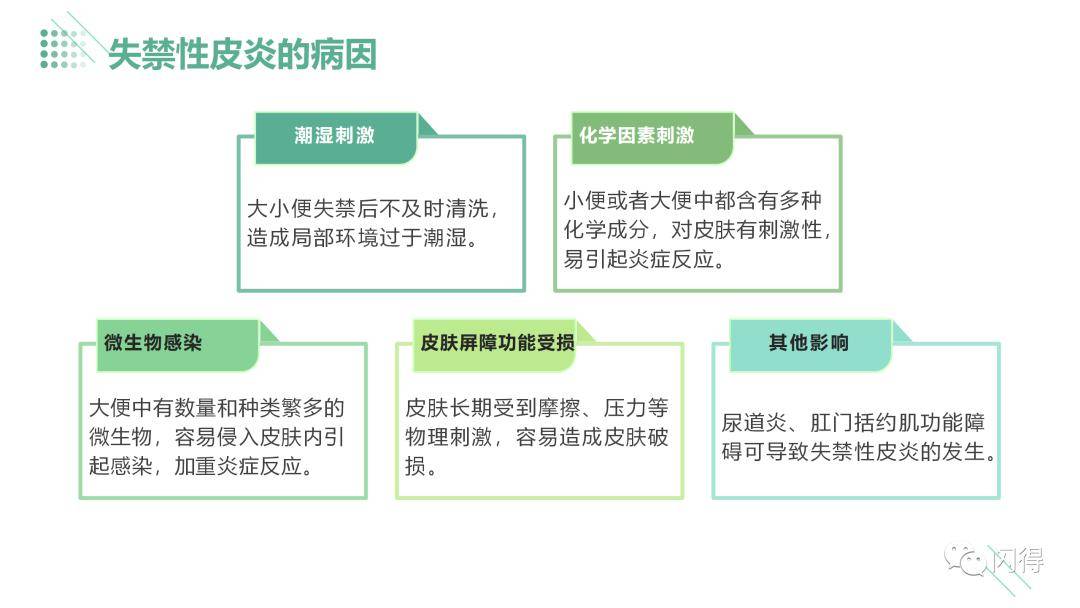 【ppt】失禁性皮炎患者的护理