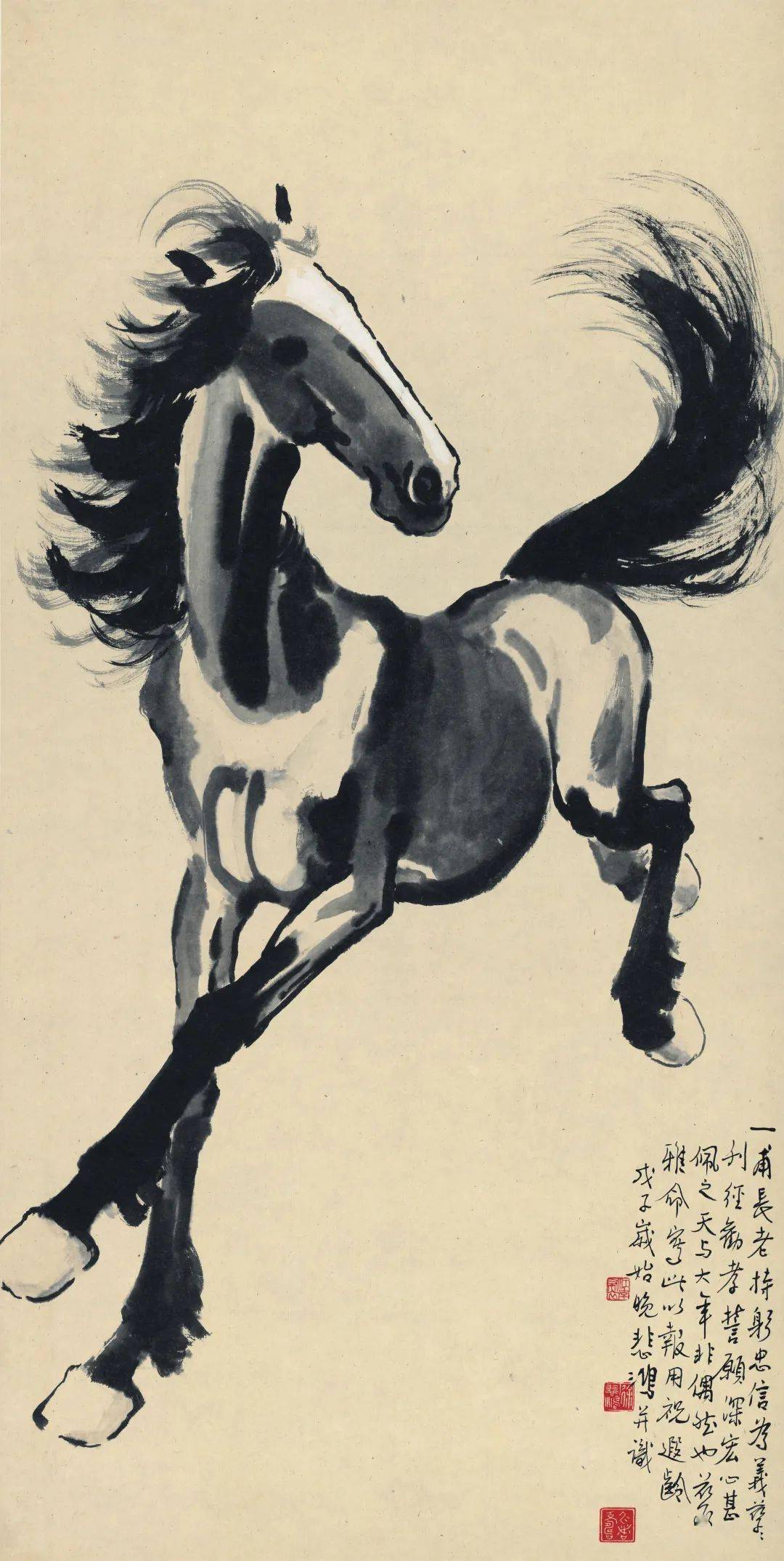 徐悲鸿《奔马图》步骤一:用淡墨画出马身的基本形状及结构,定位马身