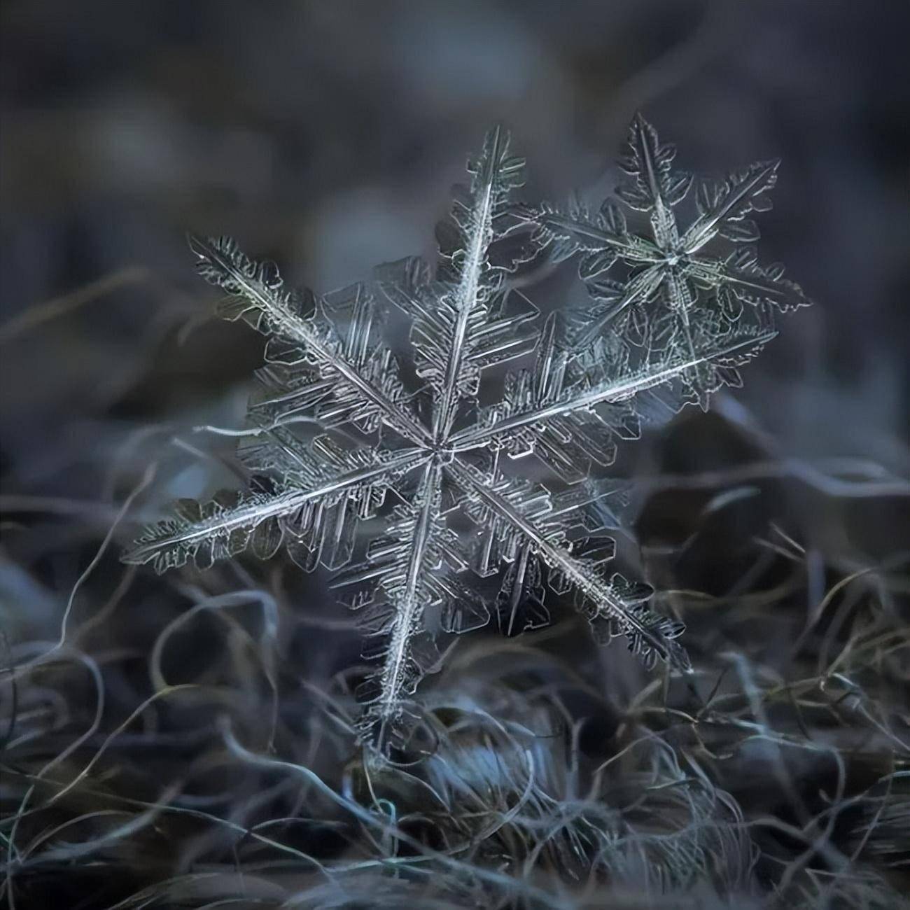 不一样的唯美雪花