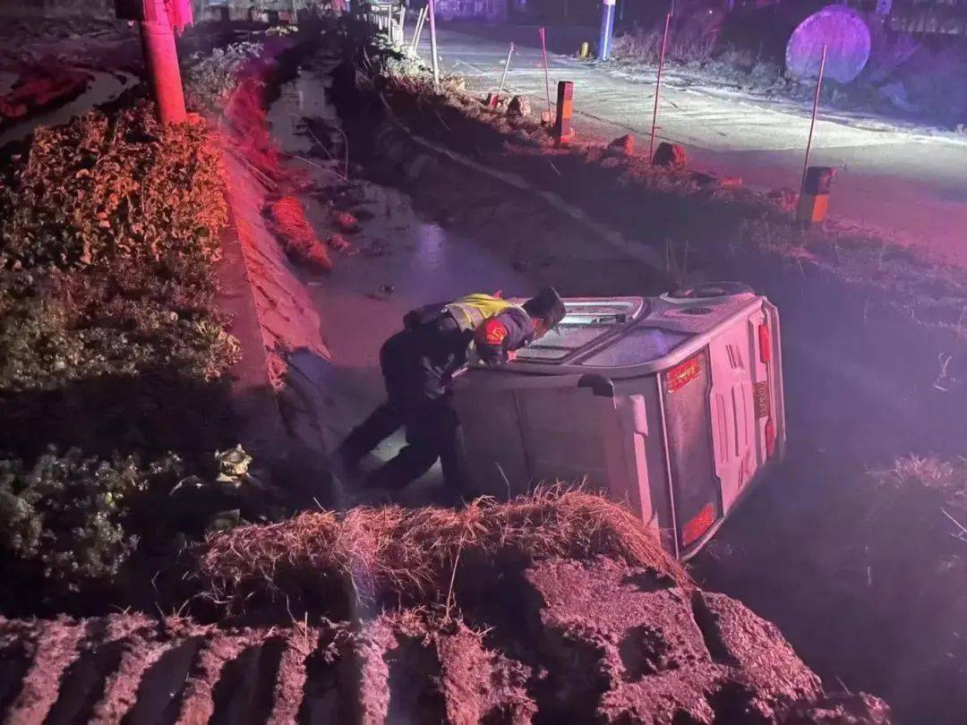 2万只花脸鸭现身黄陂湖丨早安,庐江!_合肥_招聘会_就业