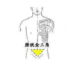 神奇的人体三角区