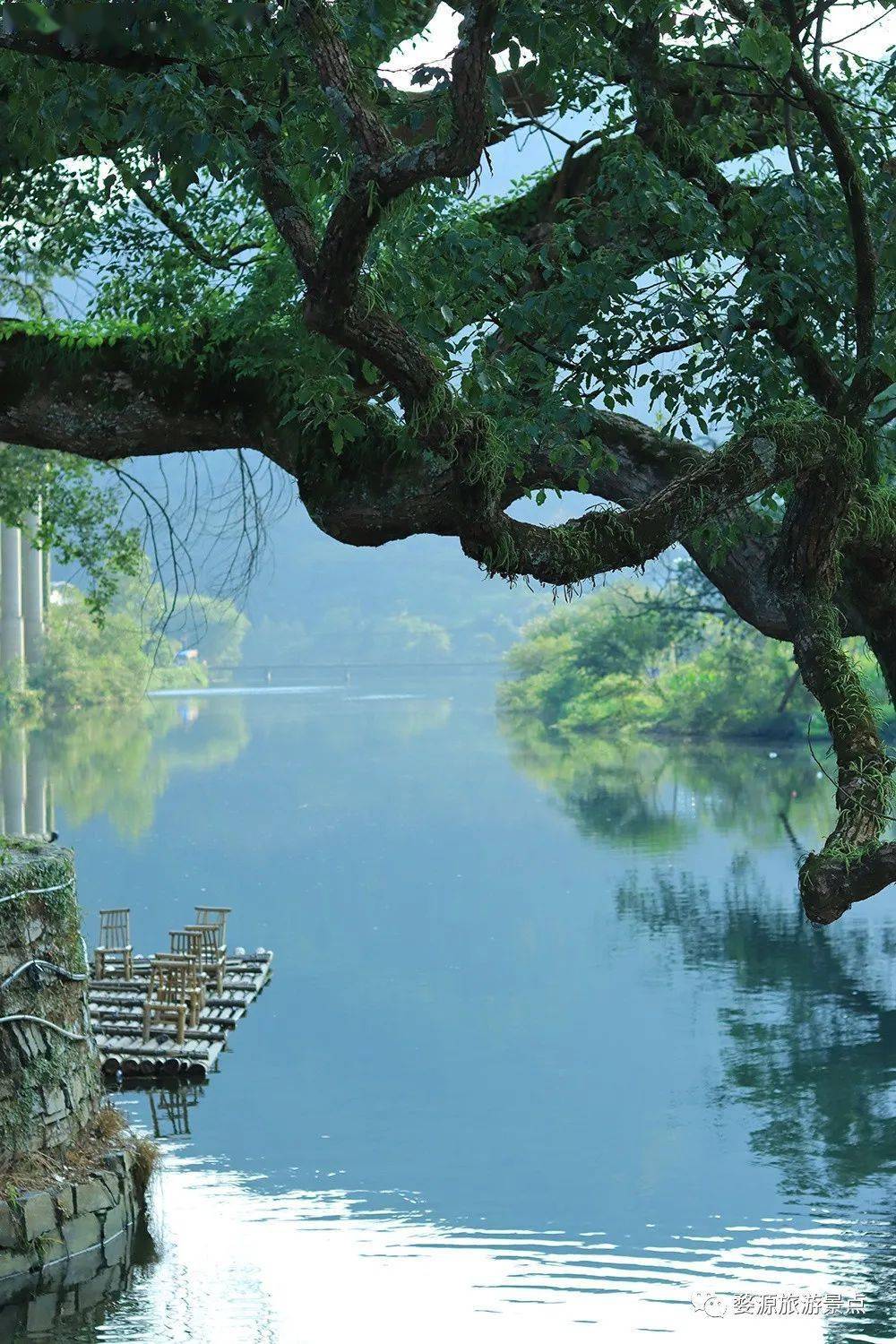 "舟行碧波上,人在画中游"真切得体会到了穿过古朴的板凳桥泛舟碧水之