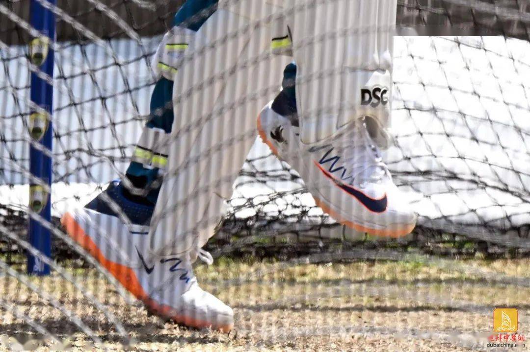 times问题:我的邻居在自家后院靠近共用围墙的地方建了一个板球练习场