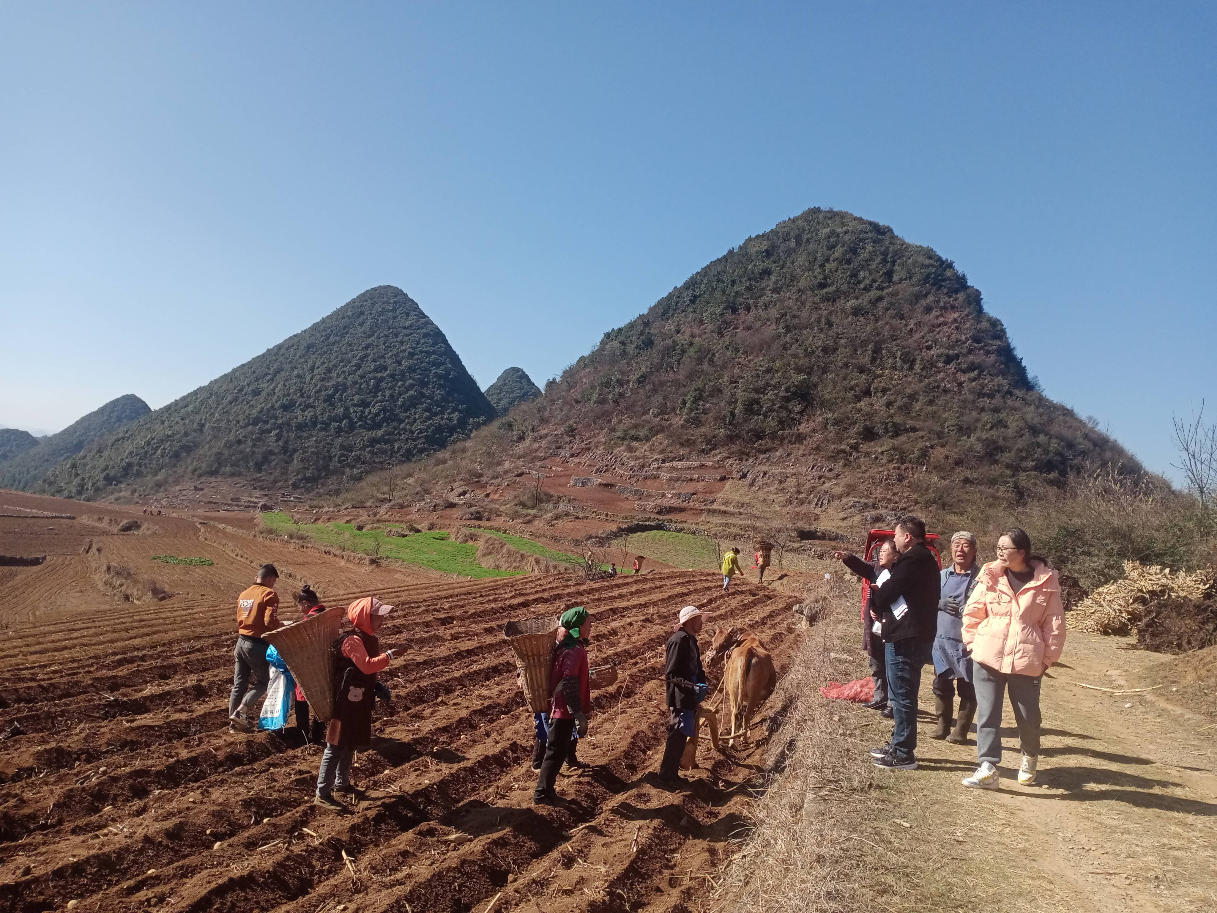 新春走基层|钟山区:抓春耕 保粮食安全_种子_生产_组织