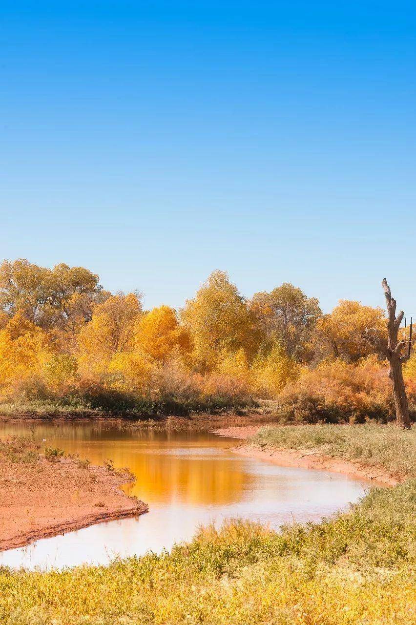 中国最美的美人谷--丹巴这是个漂亮又可爱的小村庄这边藏区居住的是