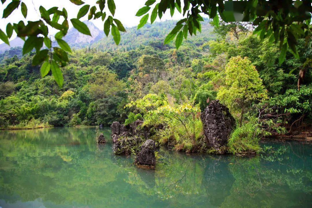 贵州天星桥,大自然造就的天然盆景
