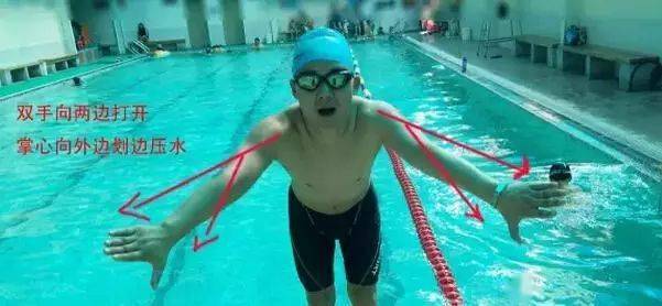 蛙泳划手技巧,学会蛙泳不再难!_动作_双手_手臂