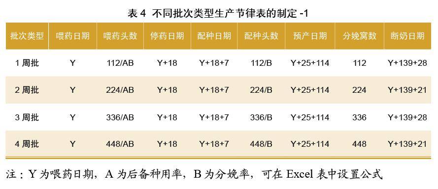 1 不同批次类型生产节律根据每批次分娩目标数计算后备母猪入群数及