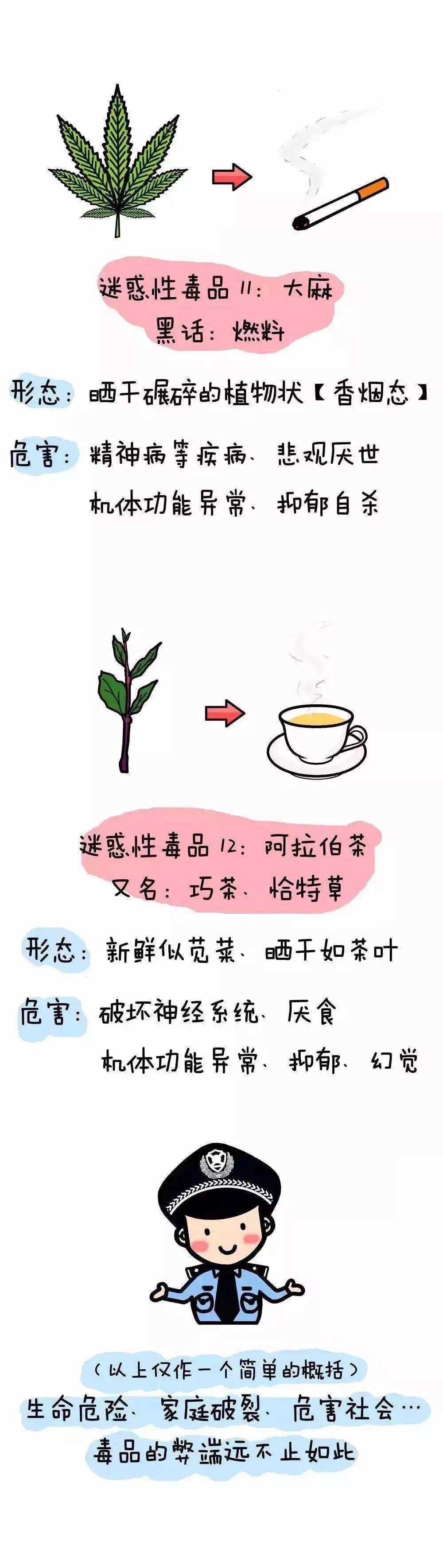 毒品的危害50字图片