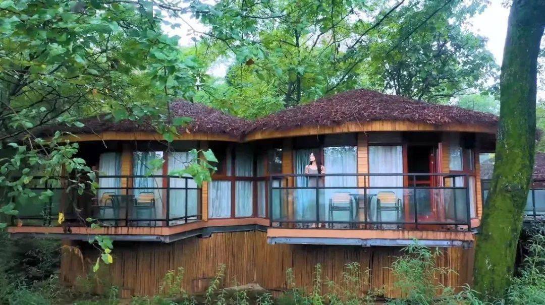 西九华山踏春游玩两日游攻略,请查收!_龙津溪_信阳_茶山