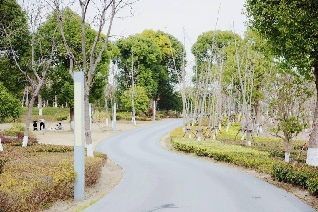 来九亭这些户外健身场地运动吧!_绿地_公园_地址