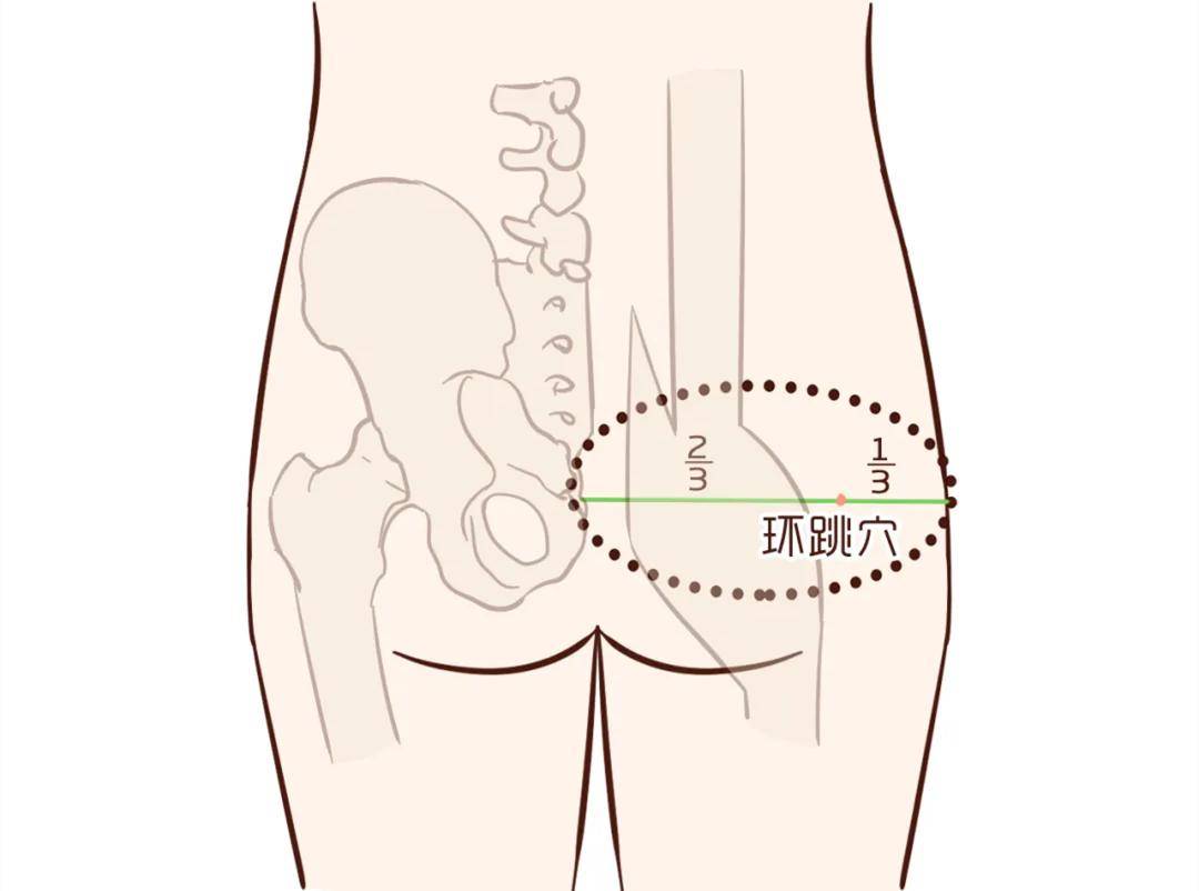 "上可治到腰,下可治到脚",看看这个神奇的穴位!_坐骨神经_主治_下肢