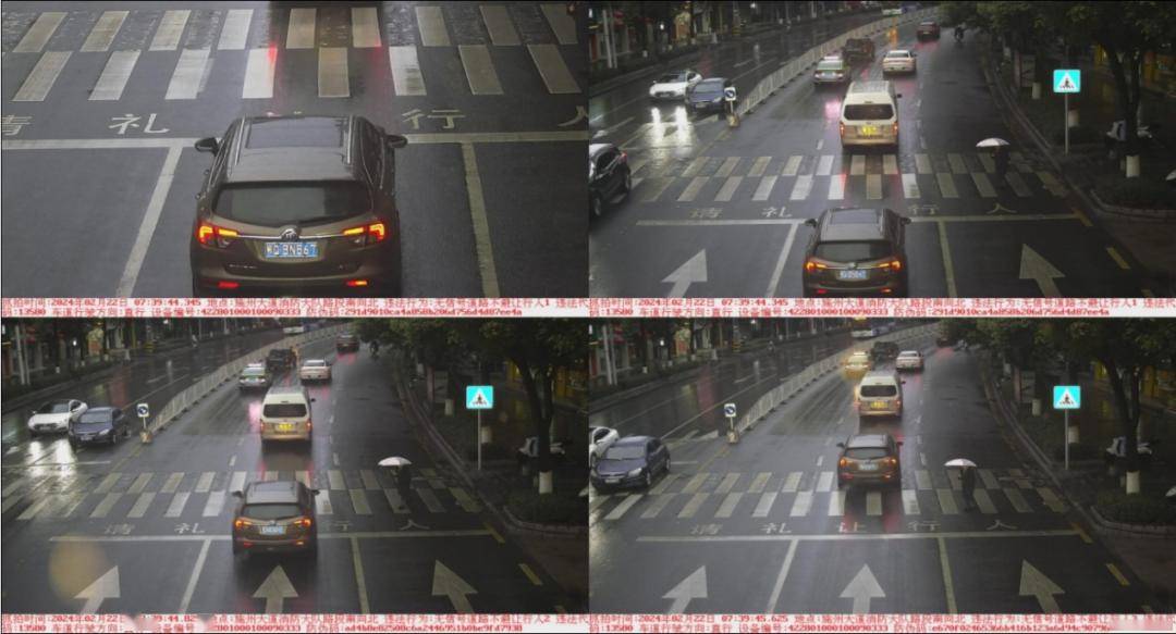 鄂qbn567,鄂qf7k17……不礼让行人被曝光_违法_路段_地点