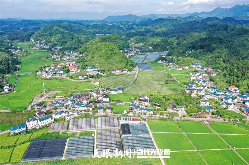 在遵义,像余庆县松烟镇二龙村以特色农特产逐梦沃野的故事还很多.